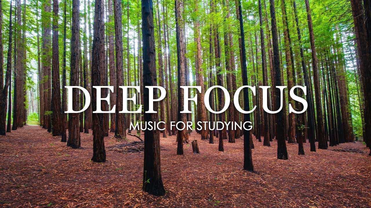 Deep Focus Music To Improve Concentration - 12 Hours of Ambient Study Music to Concentrate #332