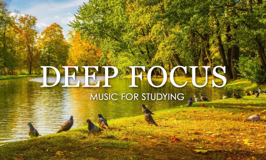 Deep Focus Music To Improve Concentration - 12 Hours of Ambient Study Music to Concentrate #339