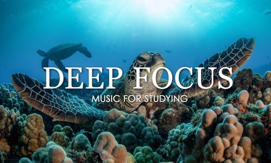 Deep Focus Music To Improve Concentration - 12 Hours of Ambient Study Music to Concentrate #348