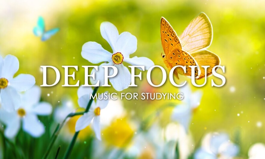 Deep Focus Music To Improve Concentration - 12 Hours of Ambient Study Music to Concentrate #353
