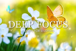 Deep Focus Music To Improve Concentration - 12 Hours of Ambient Study Music to Concentrate #354