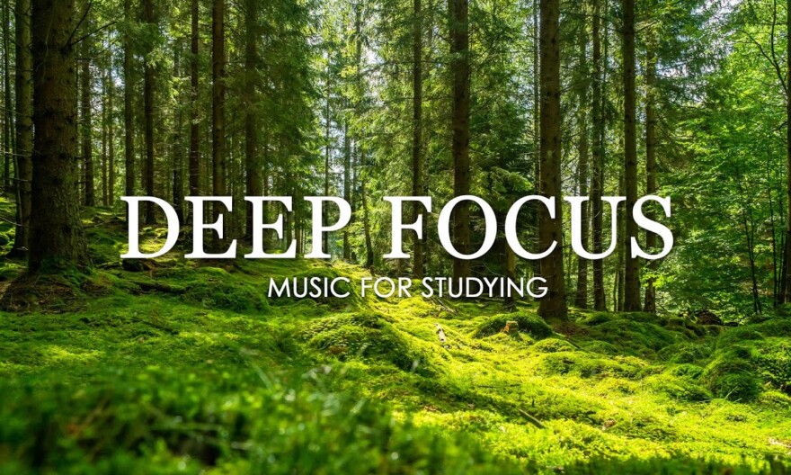 Deep Focus Music To Improve Concentration - 12 Hours of Ambient Study Music to Concentrate #355