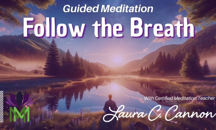 Follow the Breath Mindfulness Meditation | Mindful Movement