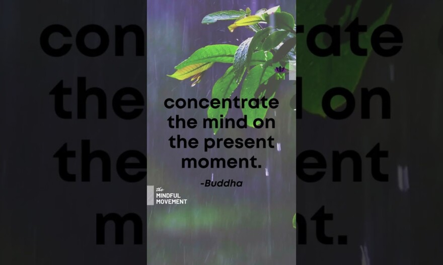 Buddha quote #shorts | Mindful Movement