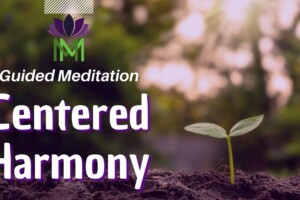 Reclaim Safety, Restore Peace | Somatic Centering Meditation | Mindful Movement