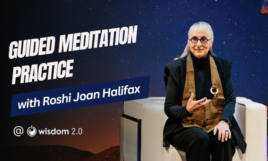 "Guided Meditation Practice" with Roshi Joan Halifax