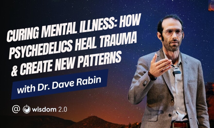 "Curing Mental Illness: How Psychedelics Heal Trauma & Create New Patterns" with Dr. Dave Rabin