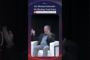 Click above to hear from Dr. Richard Schwartz at Wisdom 2.0 2024
