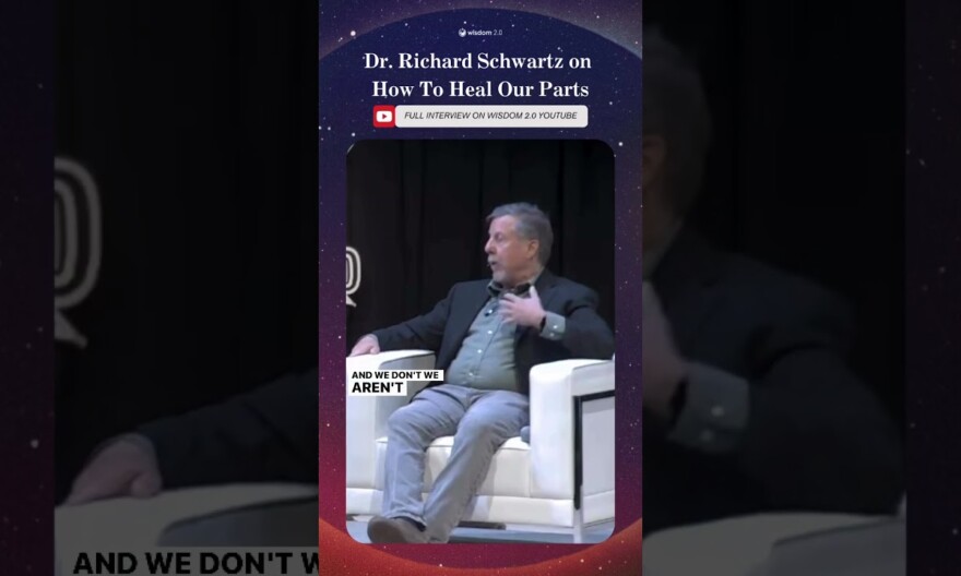 Click above to watch Dr. Richard Schwartz at Wisdom 2.0 2024!