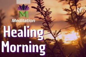 Morning Awakening: 15 Minute Somatic Mindfulness Meditation for Self-Healing | Mindful Movement